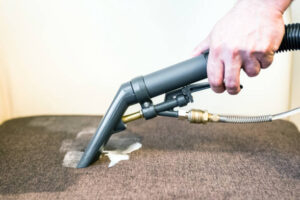 Pet stain and odor removal Roodepoort, carpet pet stain removal Roodepoort, pet odor carpet cleaning Roodepoort, pet stain carpet cleaners Roodepoort, Roodepoort pet stain removal, professional pet odor removal Roodepoort, carpet cleaning for pet stains Roodepoort, pet-friendly carpet cleaning Roodepoort, eco-friendly pet stain removal Roodepoort, pet stain and odor carpet cleaners near me, deep cleaning for pet stains Roodepoort, Roodepoort pet odor removal service, affordable pet stain carpet cleaning Roodepoort, carpet cleaning for pets Roodepoort, safe carpet cleaning for pets Roodepoort, pet stain carpet care Roodepoort, Roodepoort carpet odor removal, urine odor removal carpet cleaning Roodepoort, pet stain removal service Roodepoort, Roodepoort pet-safe carpet cleaning, same-day pet stain carpet cleaning Roodepoort