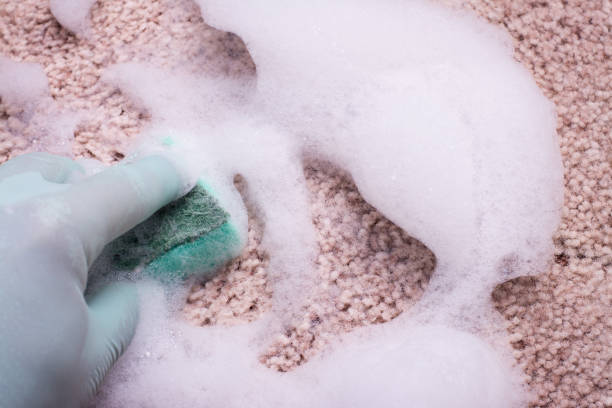 Pet stain and odor removal Roodepoort, carpet pet stain removal Roodepoort, pet odor carpet cleaning Roodepoort, pet stain carpet cleaners Roodepoort, Roodepoort pet stain removal, professional pet odor removal Roodepoort, carpet cleaning for pet stains Roodepoort, pet-friendly carpet cleaning Roodepoort, eco-friendly pet stain removal Roodepoort, pet stain and odor carpet cleaners near me, deep cleaning for pet stains Roodepoort, Roodepoort pet odor removal service, affordable pet stain carpet cleaning Roodepoort, carpet cleaning for pets Roodepoort, safe carpet cleaning for pets Roodepoort, pet stain carpet care Roodepoort, Roodepoort carpet odor removal, urine odor removal carpet cleaning Roodepoort, pet stain removal service Roodepoort, Roodepoort pet-safe carpet cleaning, same-day pet stain carpet cleaning Roodepoort