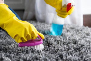 Pet stain and odor removal Roodepoort, carpet pet stain removal Roodepoort, pet odor carpet cleaning Roodepoort, pet stain carpet cleaners Roodepoort, Roodepoort pet stain removal, professional pet odor removal Roodepoort, carpet cleaning for pet stains Roodepoort, pet-friendly carpet cleaning Roodepoort, eco-friendly pet stain removal Roodepoort, pet stain and odor carpet cleaners near me, deep cleaning for pet stains Roodepoort, Roodepoort pet odor removal service, affordable pet stain carpet cleaning Roodepoort, carpet cleaning for pets Roodepoort, safe carpet cleaning for pets Roodepoort, pet stain carpet care Roodepoort, Roodepoort carpet odor removal, urine odor removal carpet cleaning Roodepoort, pet stain removal service Roodepoort, Roodepoort pet-safe carpet cleaning, same-day pet stain carpet cleaning Roodepoort