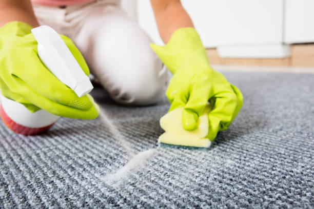 Commercial carpet cleaning Roodepoort, office carpet cleaning Roodepoort, industrial carpet cleaning Roodepoort, commercial carpet cleaners near me, professional carpet cleaning Roodepoort, Roodepoort business carpet cleaning, deep carpet cleaning services Roodepoort, Roodepoort carpet cleaning for offices, eco-friendly carpet cleaning Roodepoort, carpet cleaning services for businesses Roodepoort, carpet stain removal Roodepoort, commercial carpet care Roodepoort, same-day commercial carpet cleaning Roodepoort, Roodepoort commercial floor cleaning, commercial upholstery cleaning Roodepoort, affordable carpet cleaning Roodepoort, carpet sanitizing Roodepoort, Roodepoort carpet cleaning for retail, commercial carpet maintenance Roodepoort, high-traffic area carpet cleaning Roodepoort, specialized carpet cleaning Roodepoort, quick-dry carpet cleaning Roodepoort