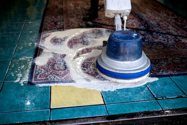 Persian Rug Cleaning Roodepoort, Pet stain and odor removal Roodepoort, carpet pet stain removal Roodepoort, pet odor carpet cleaning Roodepoort, pet stain carpet cleaners Roodepoort, Roodepoort pet stain removal, professional pet odor removal Roodepoort, carpet cleaning for pet stains Roodepoort, pet-friendly carpet cleaning Roodepoort, eco-friendly pet stain removal Roodepoort, pet stain and odor carpet cleaners near me, deep cleaning for pet stains Roodepoort, Roodepoort pet odor removal service, affordable pet stain carpet cleaning Roodepoort, carpet cleaning for pets Roodepoort, safe carpet cleaning for pets Roodepoort, pet stain carpet care Roodepoort, Roodepoort carpet odor removal, urine odor removal carpet cleaning Roodepoort, pet stain removal service Roodepoort, Roodepoort pet-safe carpet cleaning, same-day pet stain carpet cleaning Roodepoort